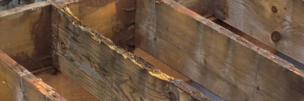 Rotten joists